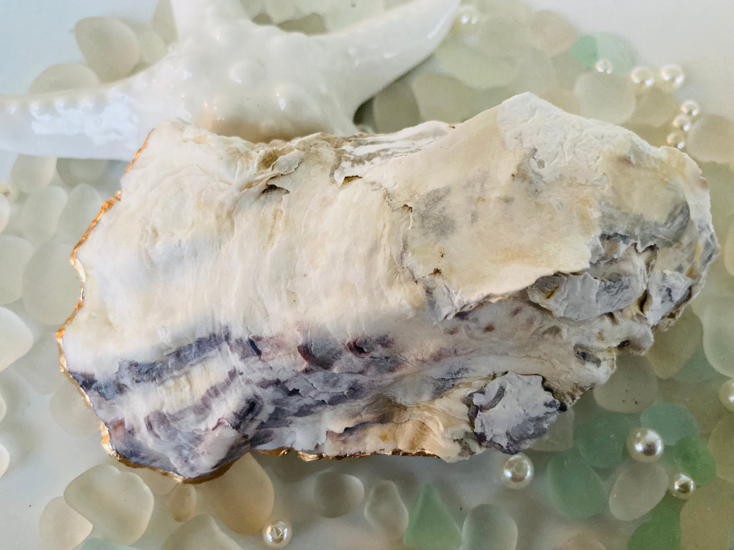 Back of oyster shell