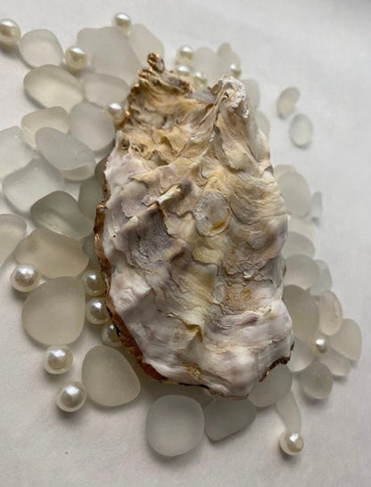 Back of oyster shell on sea glass
