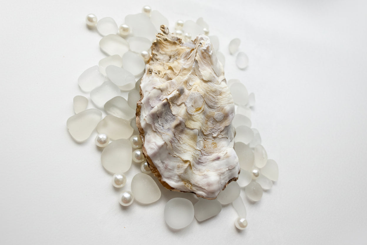 Shell with pearls and sea glass on a white background
