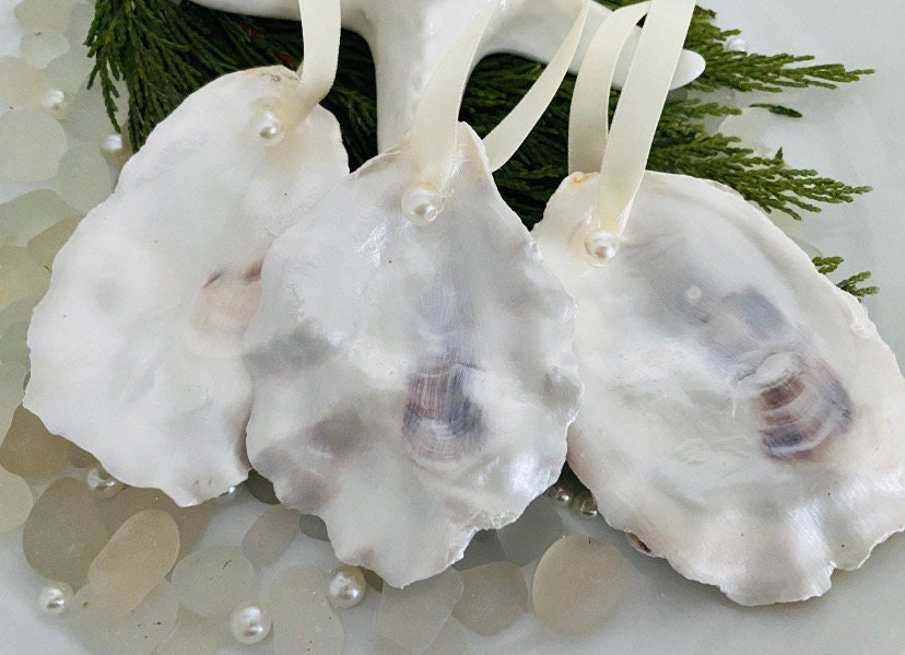 Custom Beach Wedding Favor Boxes Ornament Favors Personalized Oyster Shell Beach Wedding Favors Bridal Shower Favors Ornament Gift Box