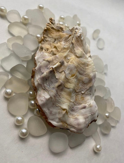 Back of oyster shell with gold gild paint