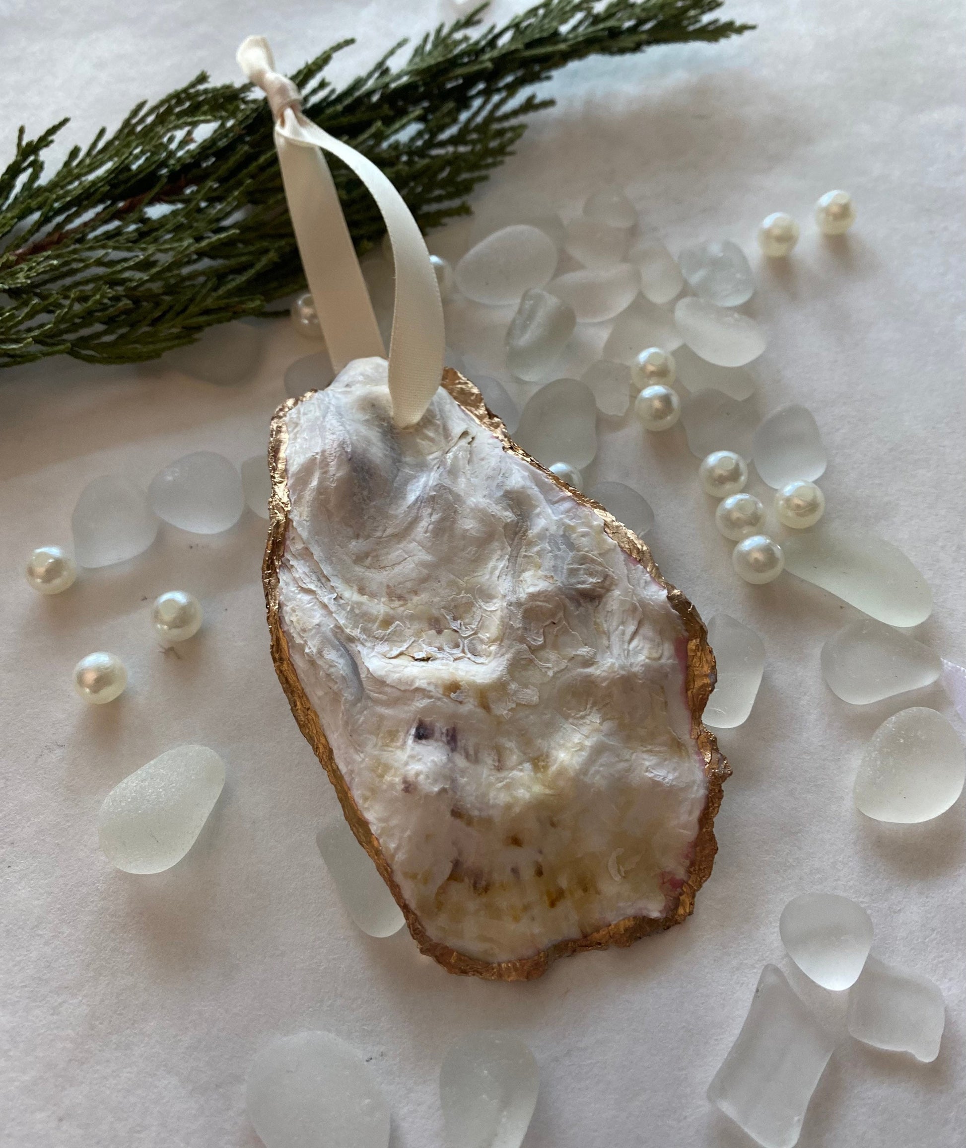Back of oyster shell with gold gild trim and cream ribbon